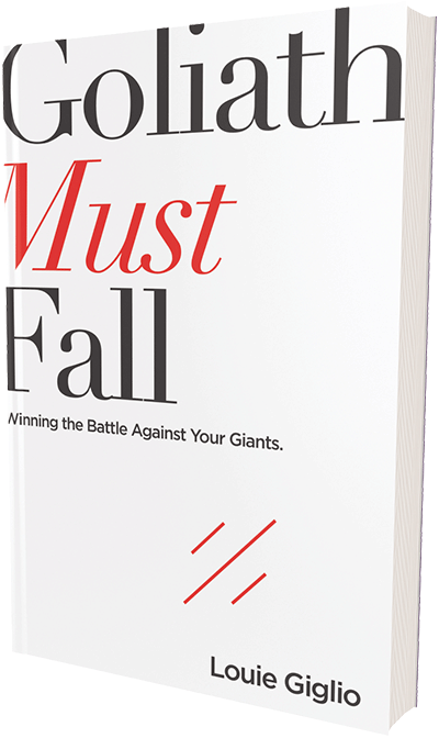 Goliath Must Fall Book