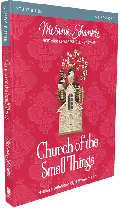 Church of the Small Things Study Guide