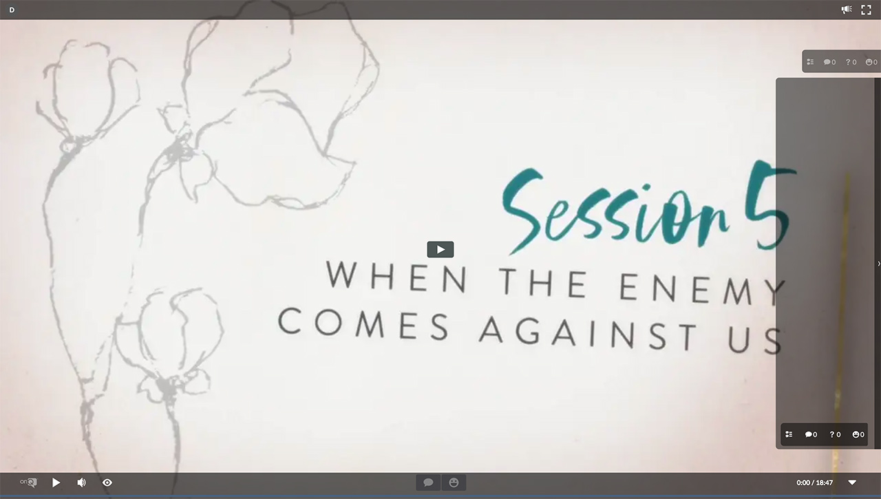 Session 5 - When the Enemy Comes Against Us