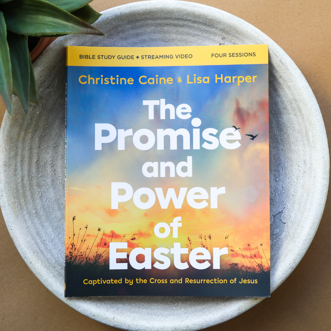 the promise and power of easter study guide